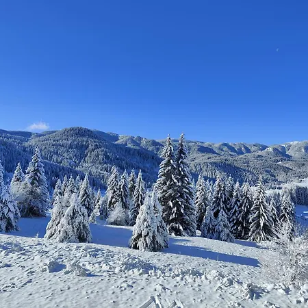 Panorama Eurydice Stoykite