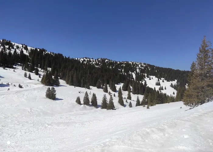 Διαμέρισμα Panorama Eurydice Stoykite