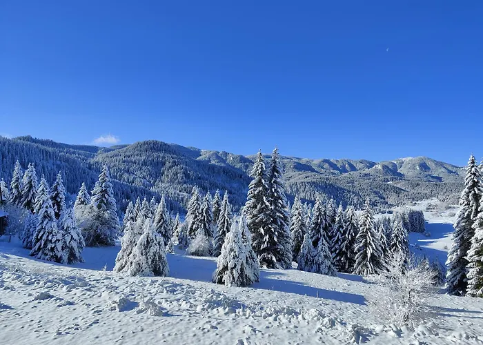 Panorama Eurydice Stoykite